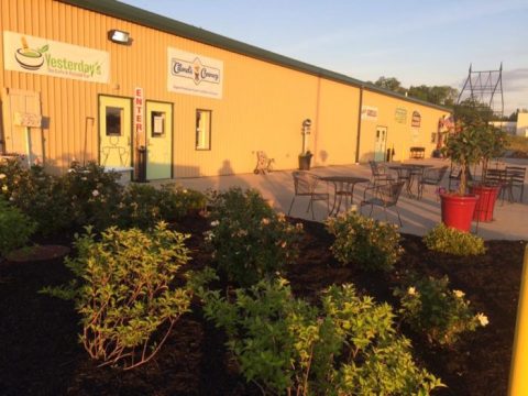 The Tiny Shop In Kentucky That Serves Homemade Ice Cream To Die For