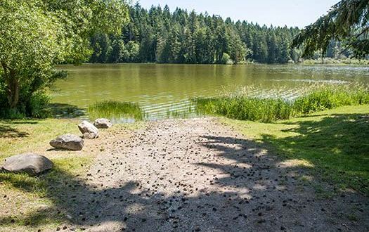 You May Not Want To Swim In This Washington Lake This Summer Due To A Dangerous Discovery