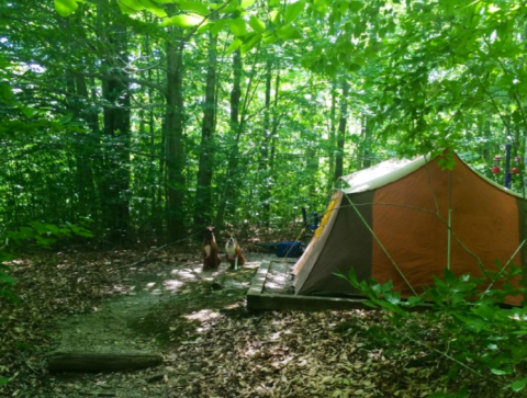This Amazing West Virginia Campground Is The Perfect Place To Pitch Your Tent
