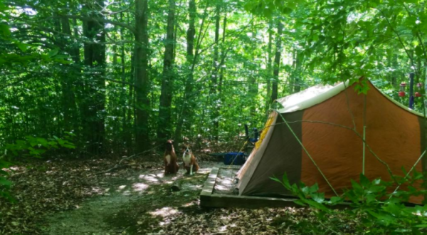This Amazing West Virginia Campground Is The Perfect Place To Pitch Your Tent