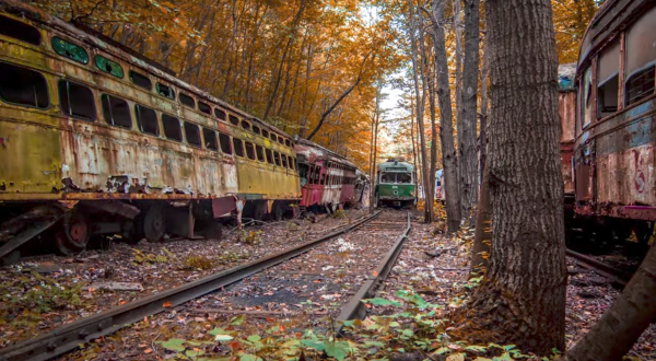There’s A Mass Trolley Grave Hiding Deep In The Forest Of Pennsylvania And Most Don’t Know It Exists