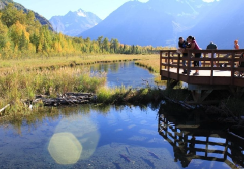This Gorgeous Nature Center In Alaska Is Right In Your Backyard