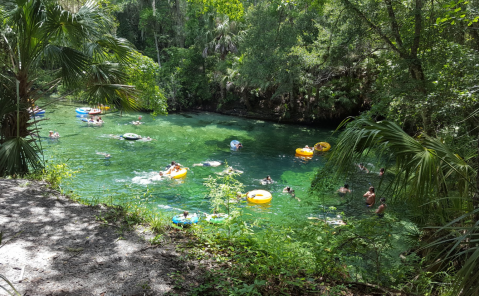 8 Lazy Rivers In Florida That Are Perfect For Tubing On A Summer’s Day