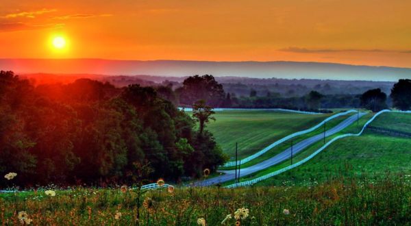 The 9 Best Backroads In Virginia For A Long Scenic Drive