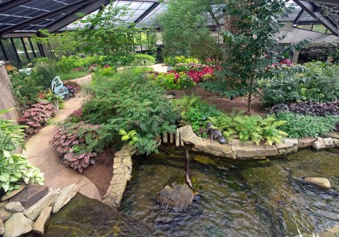 You'll Want To Plan A Summer Day Trip To Alabama's Magical Butterfly House