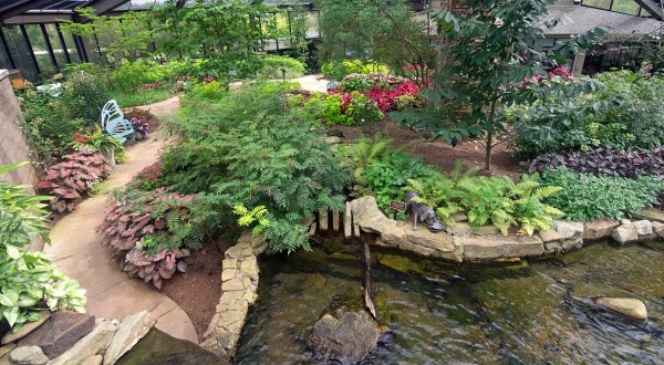 You’ll Want To Plan A Summer Day Trip To Alabama’s Magical Butterfly House