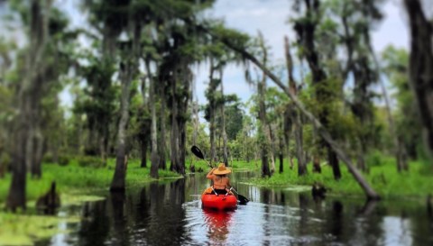 5 Perfect Places To Kayak And Canoe Around New Orleans This Summer