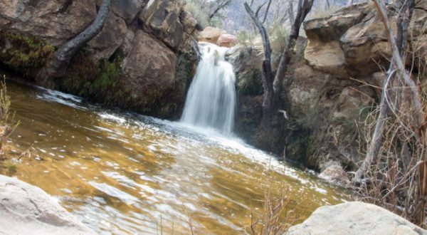 This Gorgeous Waterfall Swimming Hole In Nevada Will Make Your Summer Complete