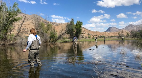 The 11 Best Fly Fishing Spots In Nevada Only Locals Know About