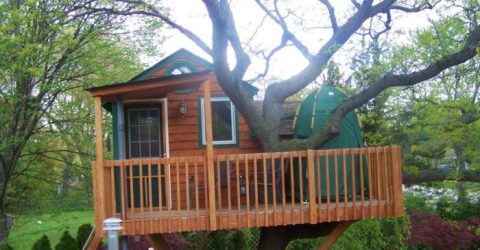 Sleep Underneath The Forest Canopy At This Epic Treehouse In Illinois