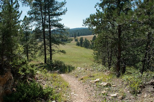 Here Are The 7 Best Hikes In South Dakota’s Wind Cave National Park