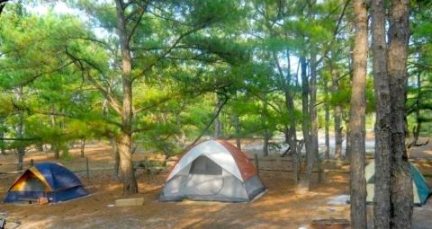 This Amazing Delaware Campground Is The Perfect Place To Pitch Your Tent