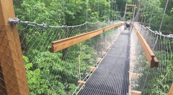 9 Amazing Treetop Adventures You Can Only Have In Ohio