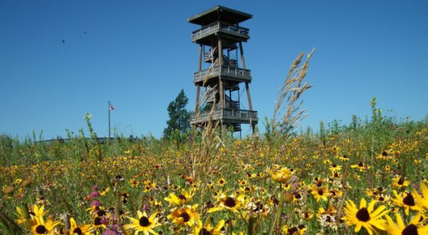 The Eagle’s Eye View From This South Dakota Tower Is Positively Breathtaking