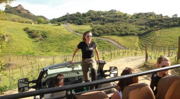 This One-Of-A-Kind Wine Safari In Southern California Will Take You On An Adventure Of A Lifetime