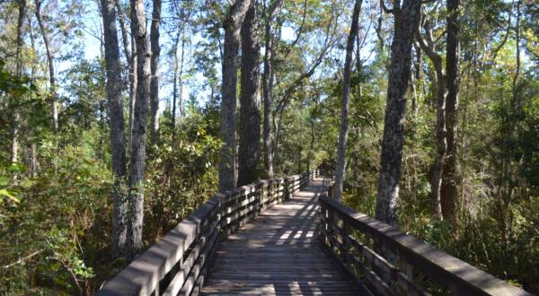 The One Nature Reserve In Alabama Everyone Should Visit This Summer