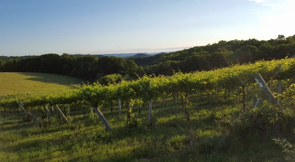 Take The Southwest Wisconsin Wine Trail For An Unforgettable Experience