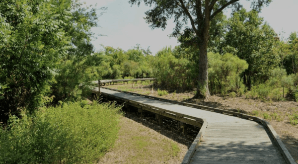 The Beauty Of This Louisiana Boardwalk Trail Will Leave You Speechless