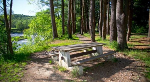 13 Secret Spots In New York Where Nature Will Completely Relax You