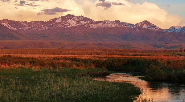 There’s A Gorgeous Forest Hiding In The Middle Of Nevada’s Very Own Alps And You’ll Want To Find It