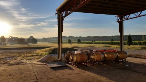 The Remote Winery In New Jersey That's Picture Perfect For A Day Trip