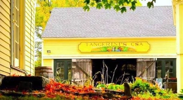 There’s A Bakery On This Beautiful Farm In Massachusetts And You Have To Visit