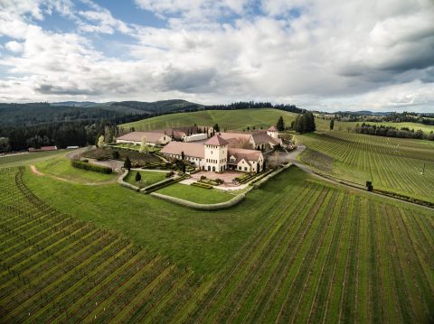 The Remote Winery In Oregon That's Picture Perfect For A Day Trip