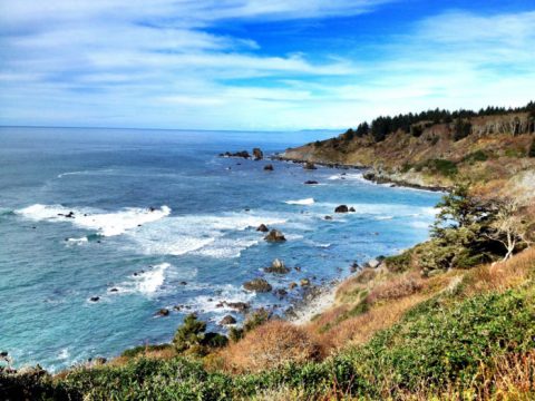 11 Unforgettable Road Trips To Take In Northern California Before You Die