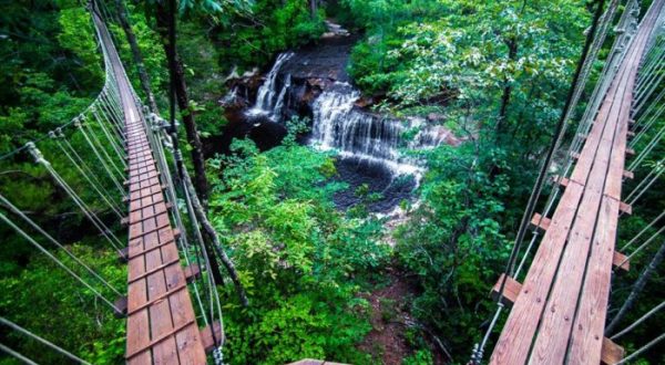 7 Amazing Treetop Adventures You Can Only Have In North Carolina