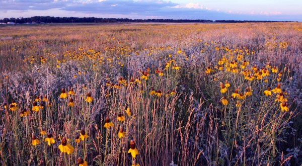 11 Sites In North Dakota That Will Remind You Just How Incredible America Truly Is