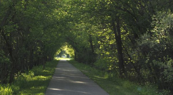 Minnesota’s Tunnel Of Trees Is Positively Magical And You Need To Visit