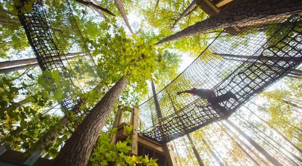 The Awesome Treetop Adventure In North Carolina Everyone Will Love