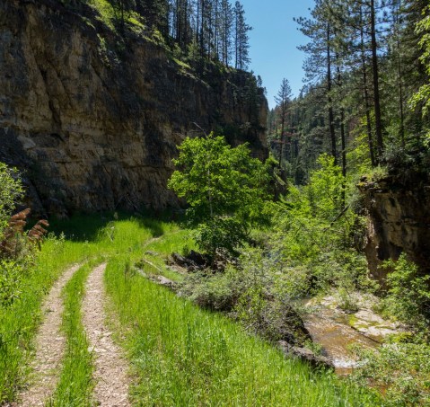 The Picture Perfect Hike In South Dakota That's Beautiful On A Summer Day