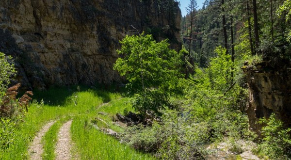 The Picture Perfect Hike In South Dakota That’s Beautiful On A Summer Day