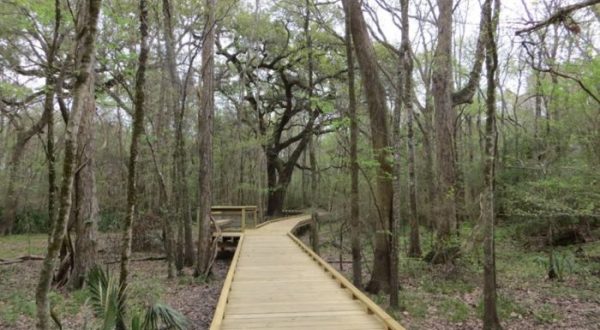 This Epic Louisiana Nature Park Is Perfect For Adventure Seekers