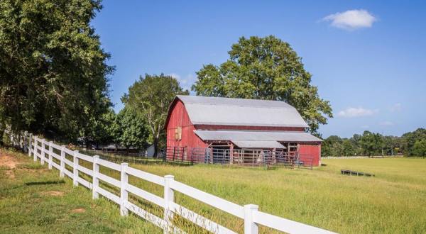 12 Picturesque Farms That Prove Just How Charming Rural Mississippi Really Is