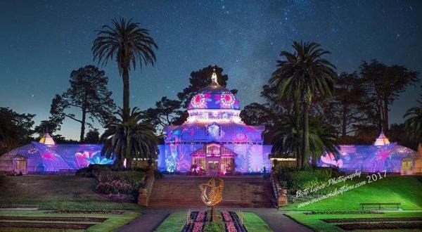 You’ve Never Seen Anything Like This Amazing Flower Show In San Francisco