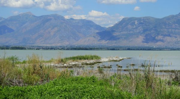 You May Not Want To Swim In This Utah Lake This Summer Due To A Dangerous Discovery