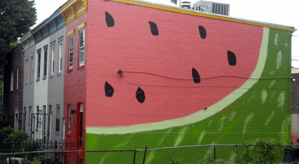 14 Incredible DC Murals To See Around The City