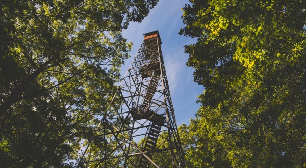 The Stomach-Dropping Canopy Walk You Can Only Find In Minnesota