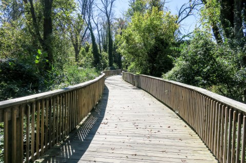 The Scenic Trail In DC You'll Want To Take At Least Once This Summer