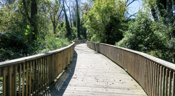 The Scenic Trail In DC You’ll Want To Take At Least Once This Summer