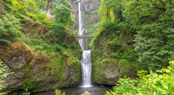 A Ride On Portland’s Gorge Express Will Take You Straight To A Stunning Waterfall