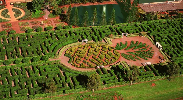 The World’s Largest Plant Maze Is Right Here In Hawaii And You’ll Want To Visit