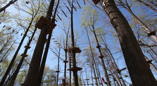 5 Amazing Treetop Adventures You Can Only Have In Maryland
