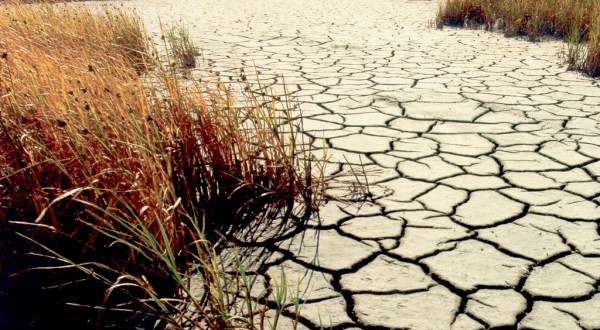 82 Percent Of South Dakota Is Affected By The Drought And It’s Truly Heartbreaking