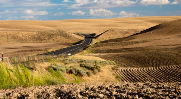 You’ll Never Guess How These Picturesque Rolling Hills In Idaho Were Made