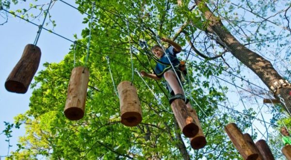 7 Amazing Treetop Adventures You Can Only Have In West Virginia