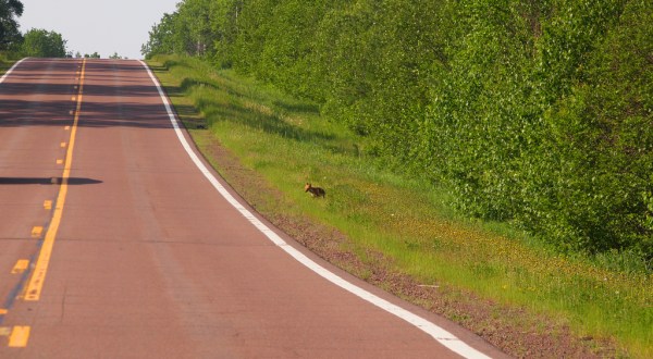 A Drive Down Minnesota’s Loneliest Road Will Take You Miles And Miles Away From It All