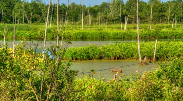 If You Live Near Cleveland, You Must Visit This State Nature Preserve